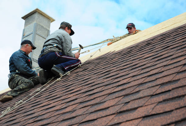 Best Roof Gutter Cleaning  in Cheyenne, WY